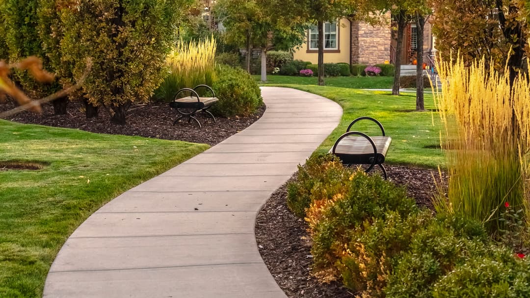 Beautiful winding pathway through lush greenery with benches in a tranquil park setting.