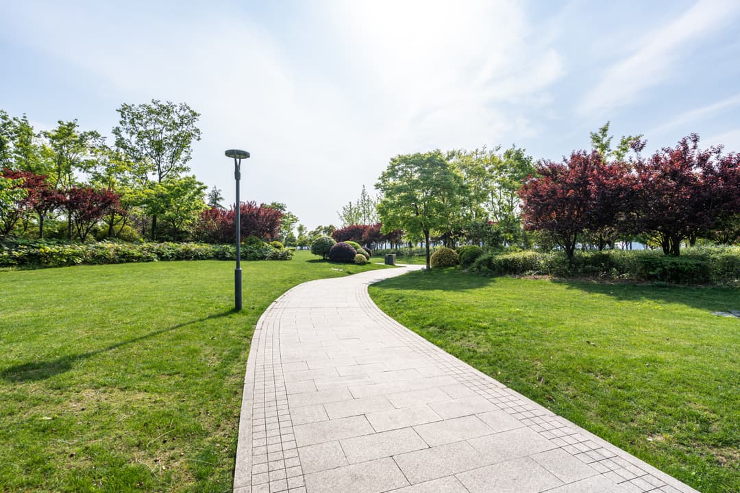 Scenic park pathway surrounded by vibrant greenery and flowering trees on a sunny day.