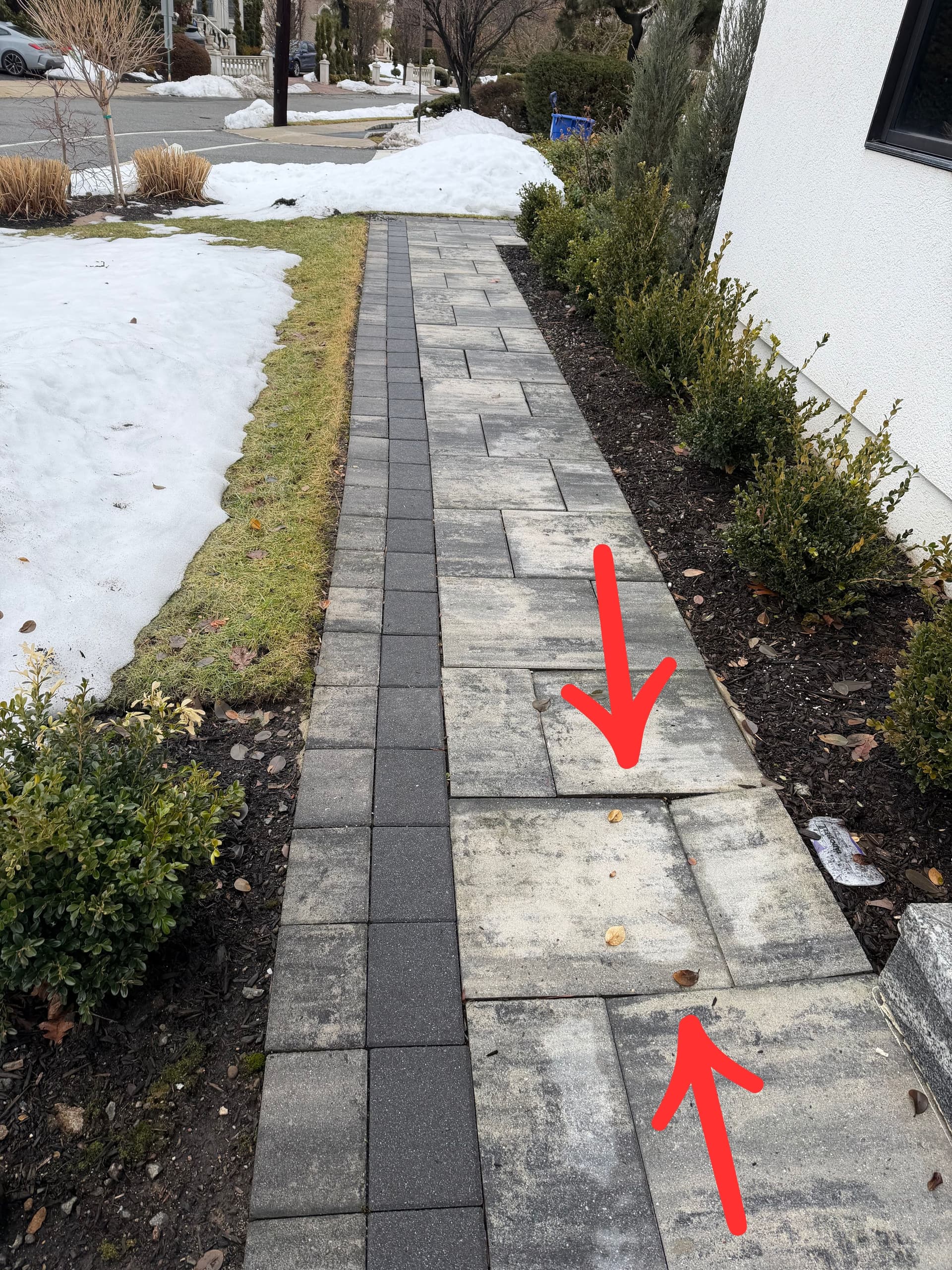 Why Your Paver Patio or Walkway Is Separating (And What It Really Means) image