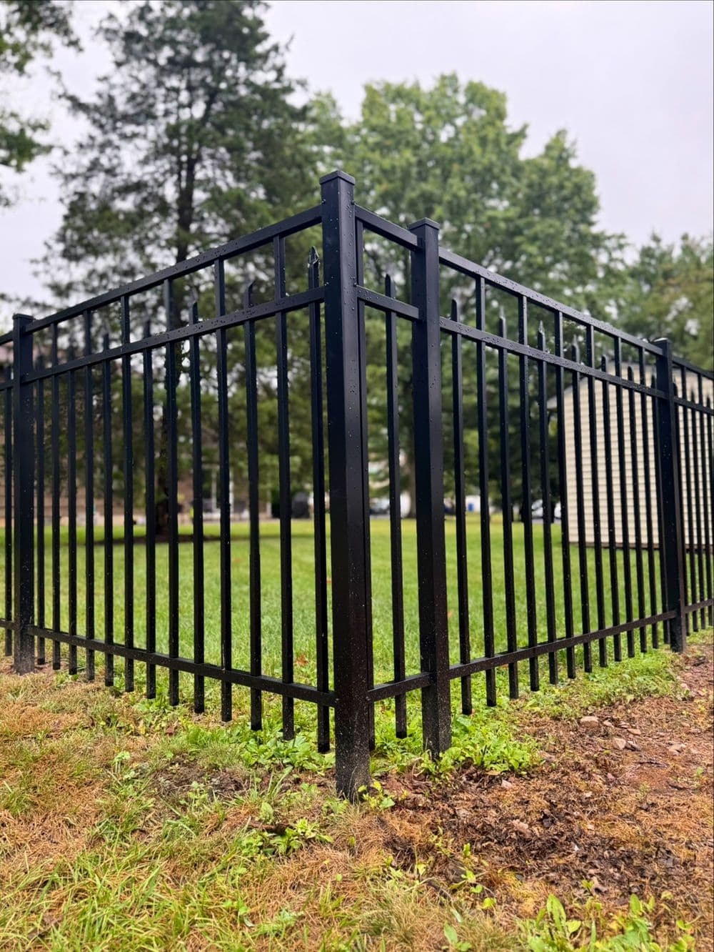 Black metal fence enclosing a grassy area with trees in the background on a cloudy day.