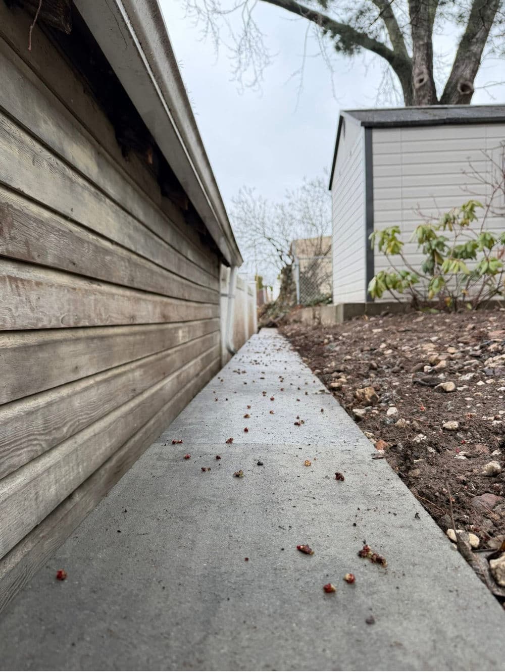 Failing Retaining Wall Replaced Before It Caused Real Damage image