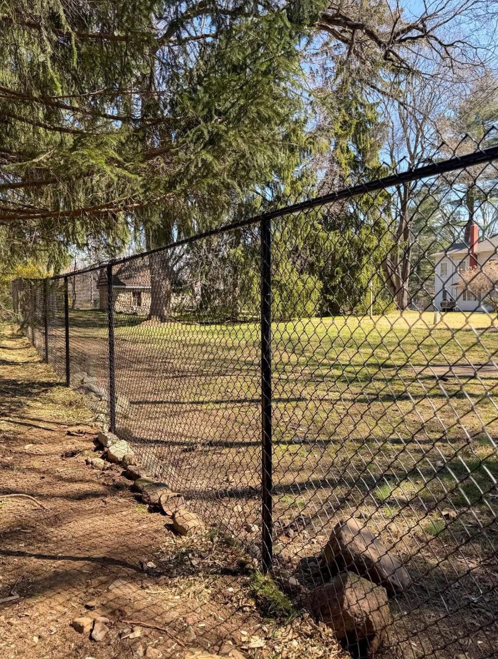 6ft Black Chain Link Fence Brings Privacy to Ridgewood Backyard image
